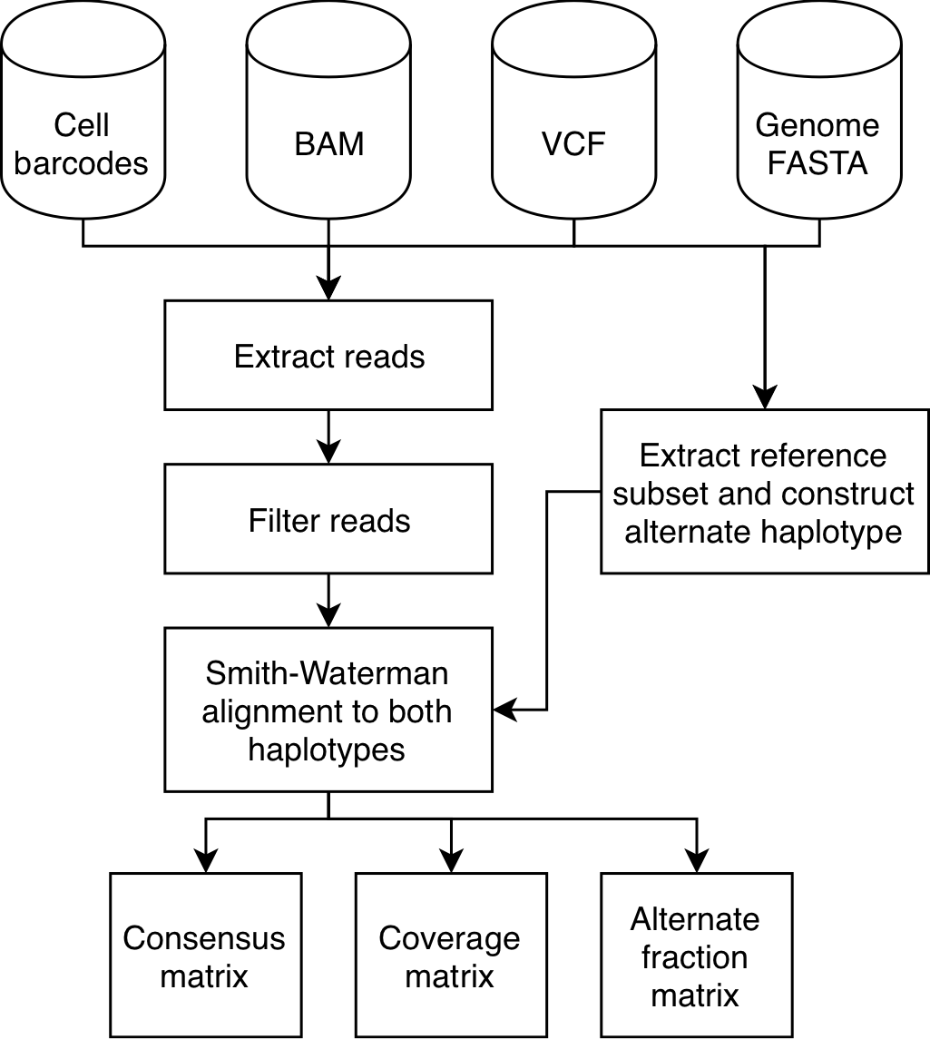 VarTrix_WorkFlow.png