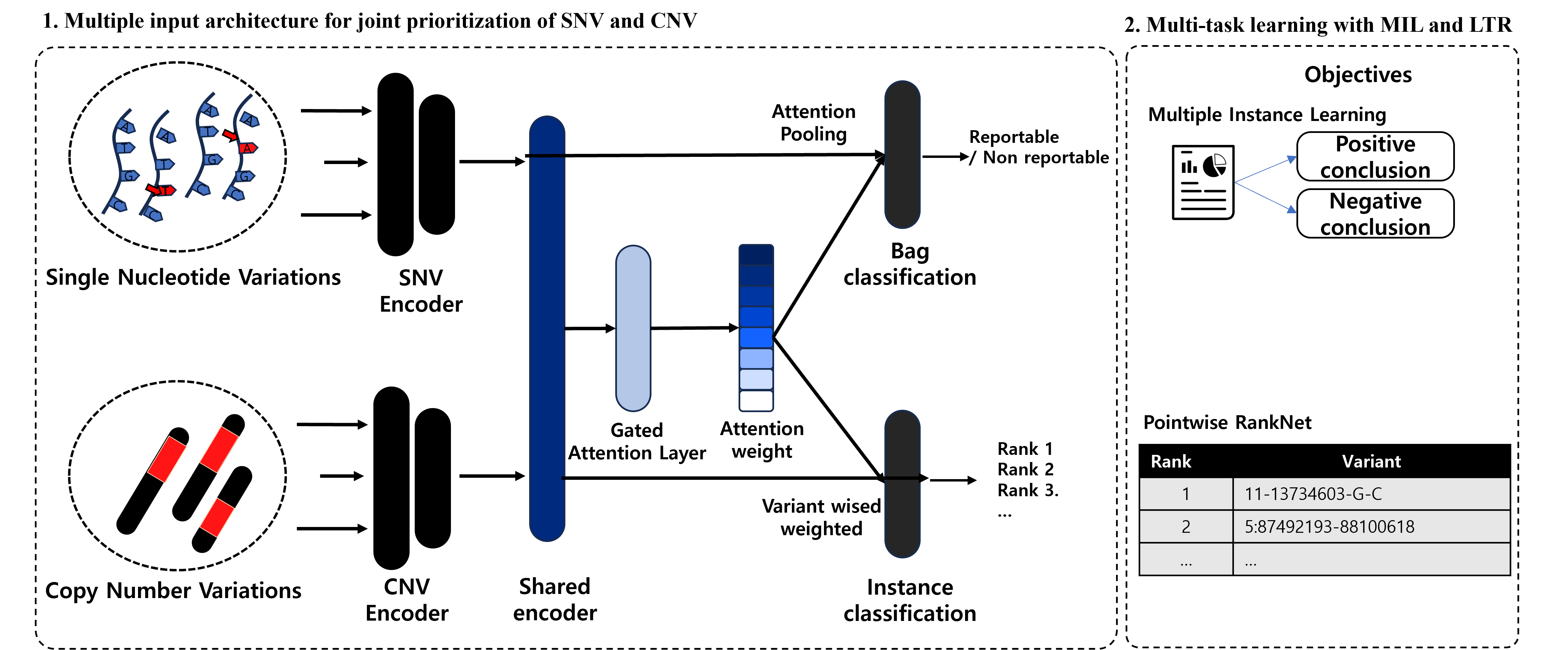 figure1_3asc.png