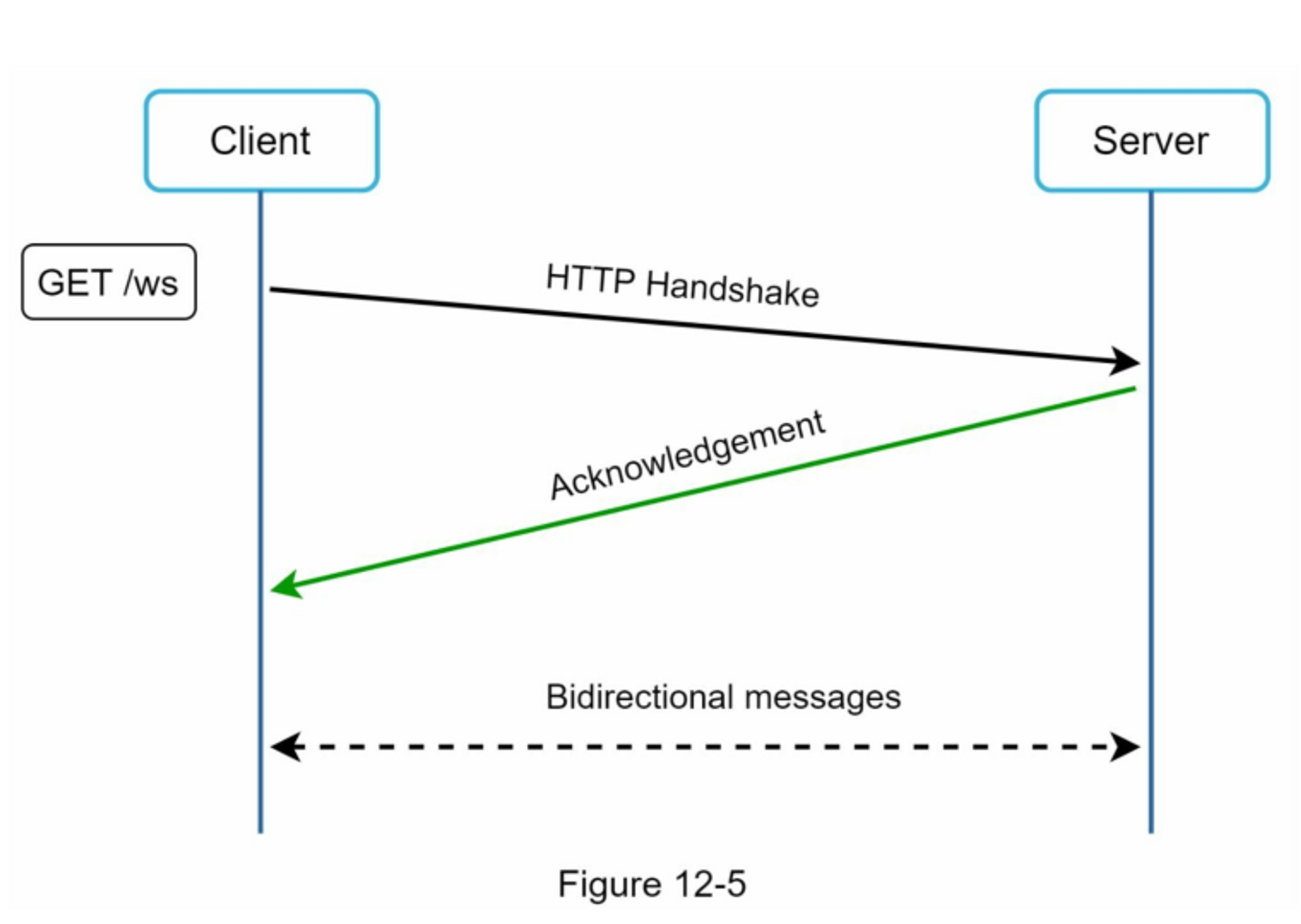 figure12-5.jpg