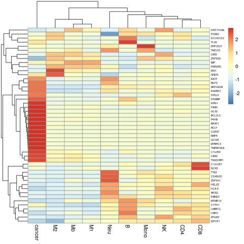 test_heatmap.png