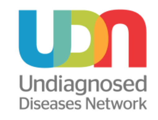 UDN_logo_temp_screenshot.png