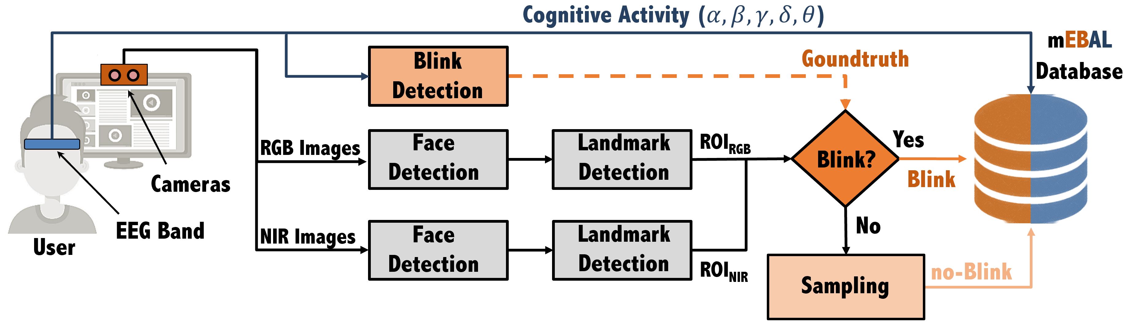 Framework_mEBAL2.jpg