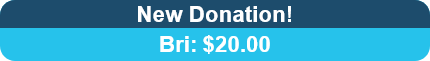 Last-Donation-Preview.png