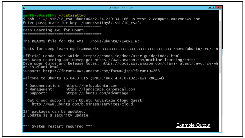 Terminal showing connection to CDeep3M instance