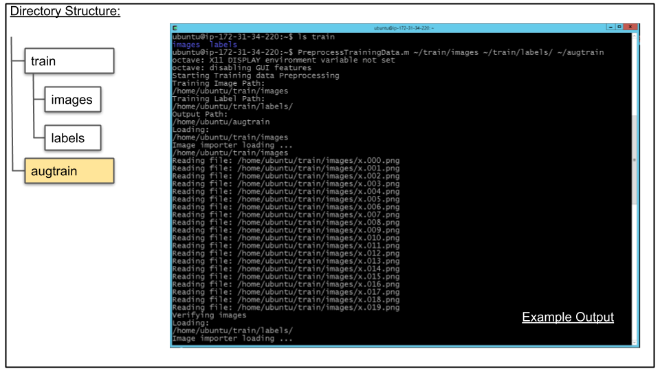 Terminal showing run of PreprocessTrainingData.m