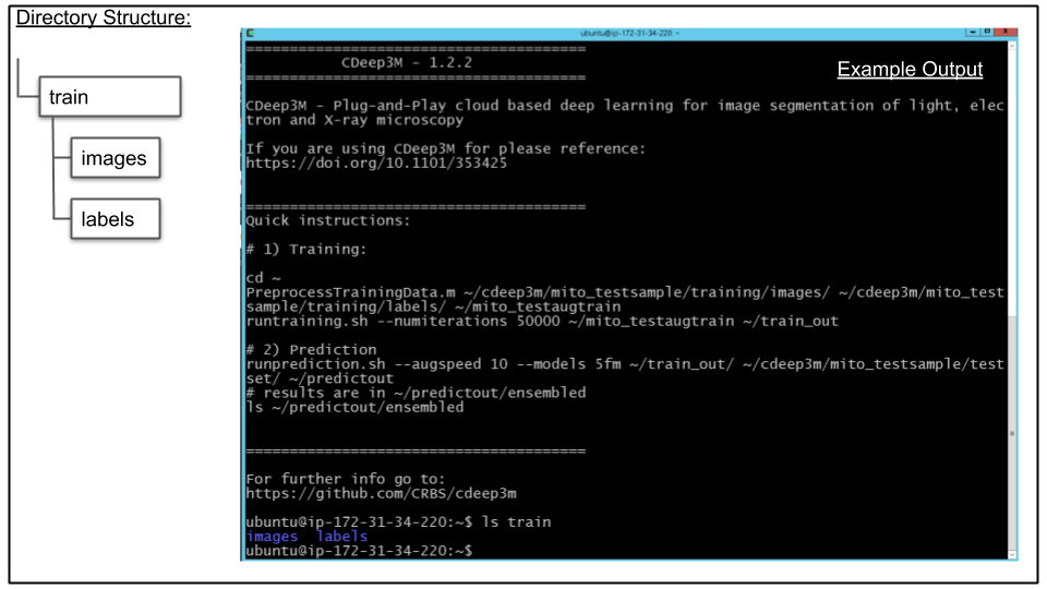 Terminal showing verification of upload with ls train command