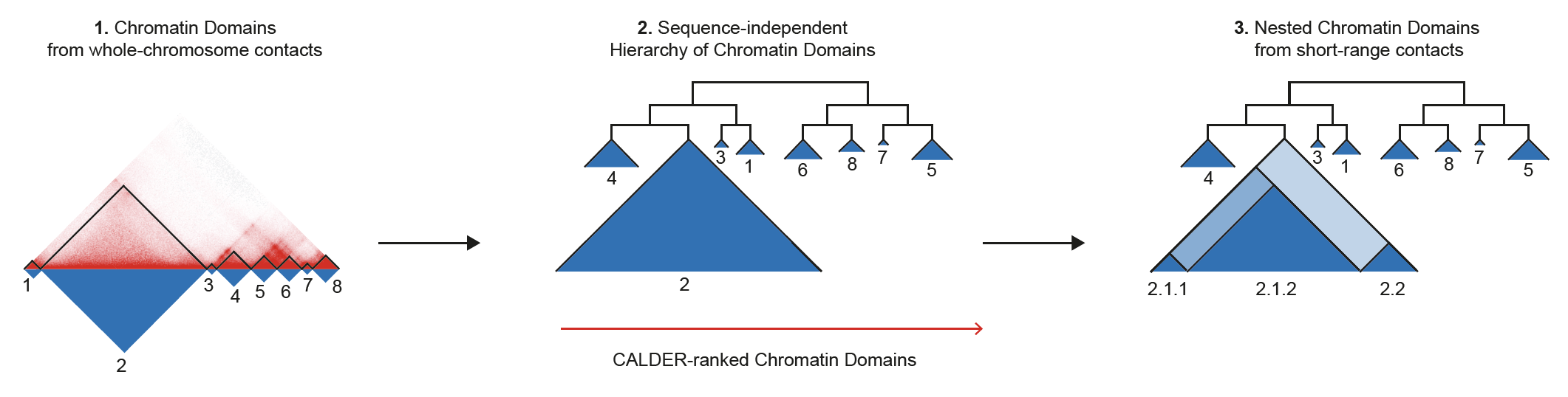 CALDER_methods.png