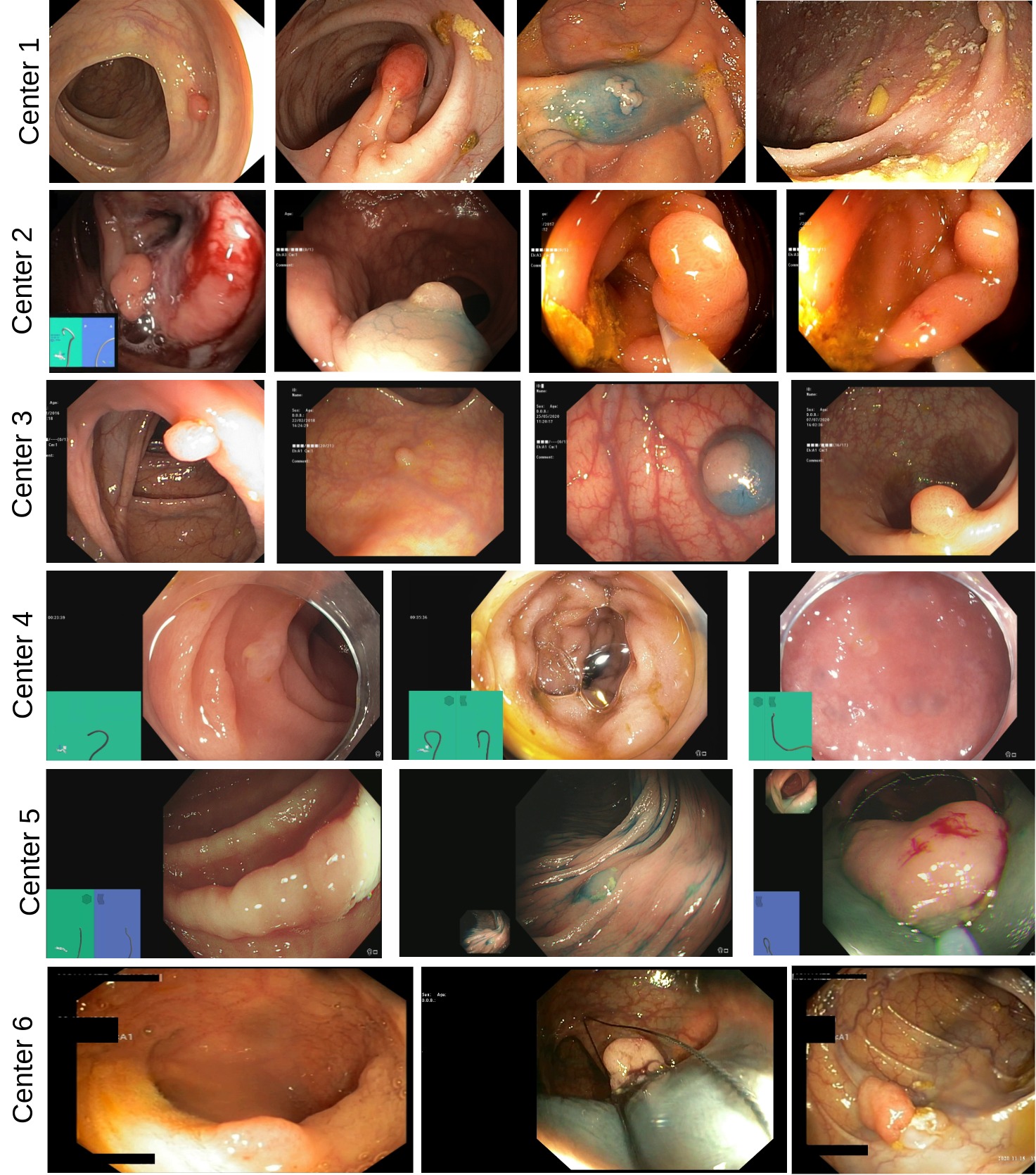 polypgen-samples.jpg