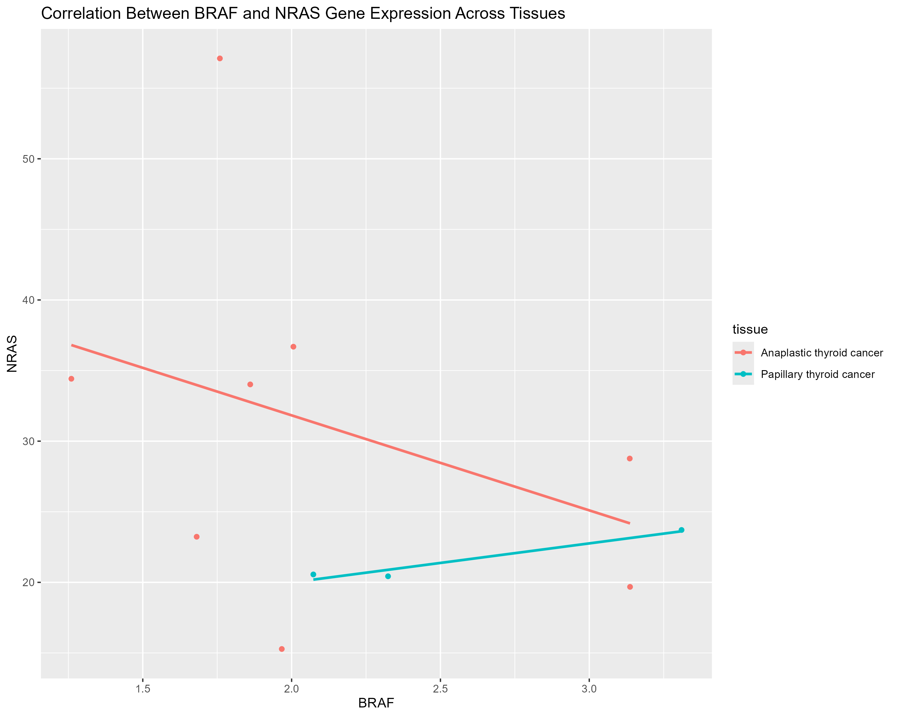 ScatterPlot.png