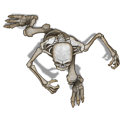 Ogre_Skeleton_02_hi.png