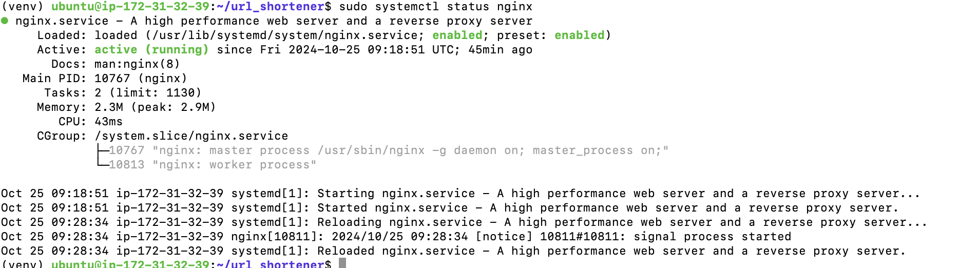 nginx.png