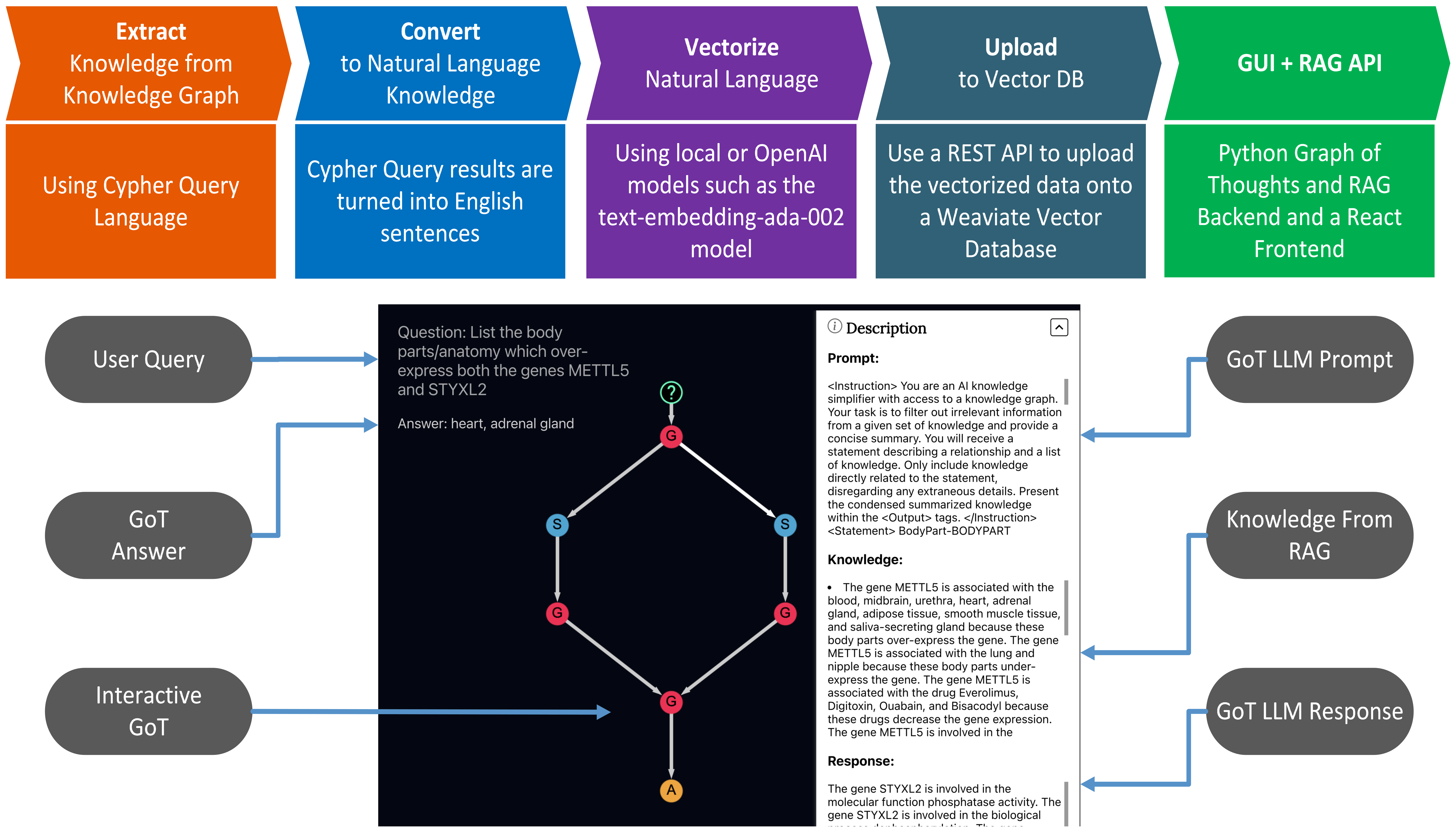 KG2Diagram.png