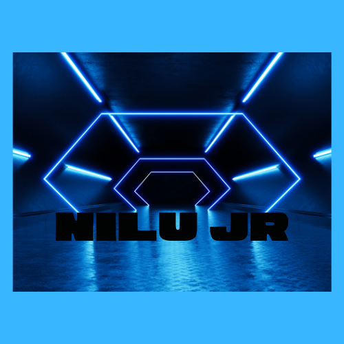 NILU JR (2).png