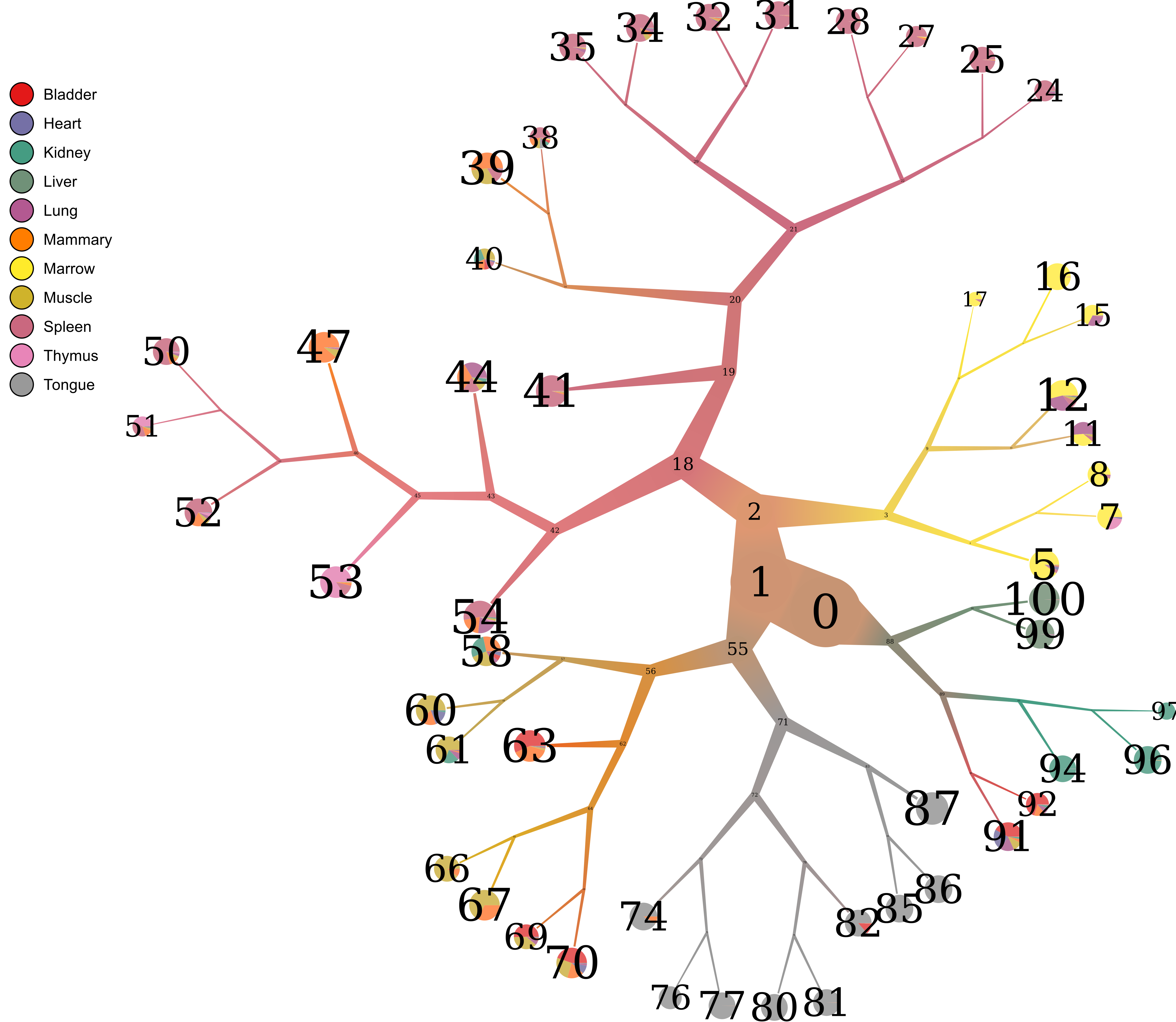 numbered_pruned_tree.png