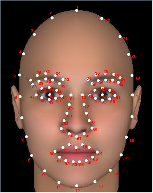 SCUT FPB 5500-Facial Landmarks 86.png