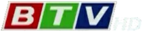 BTV - Phát thanh Bình Định.png