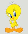 tweety.jpg