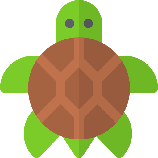 turtle.png