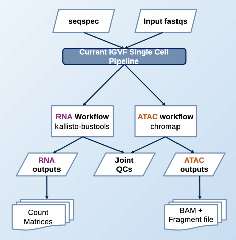 pipeline_flowchart.png