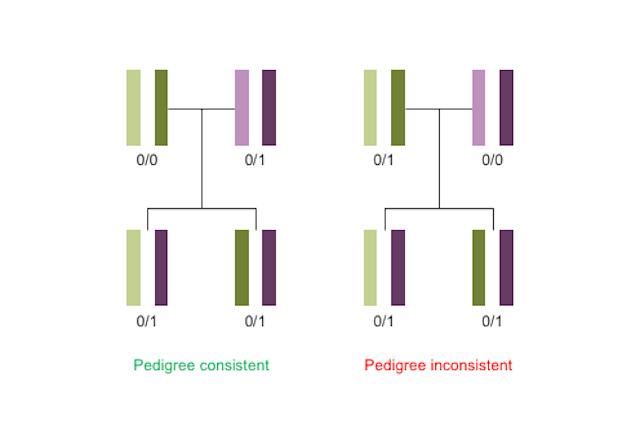 Pedigree consistency