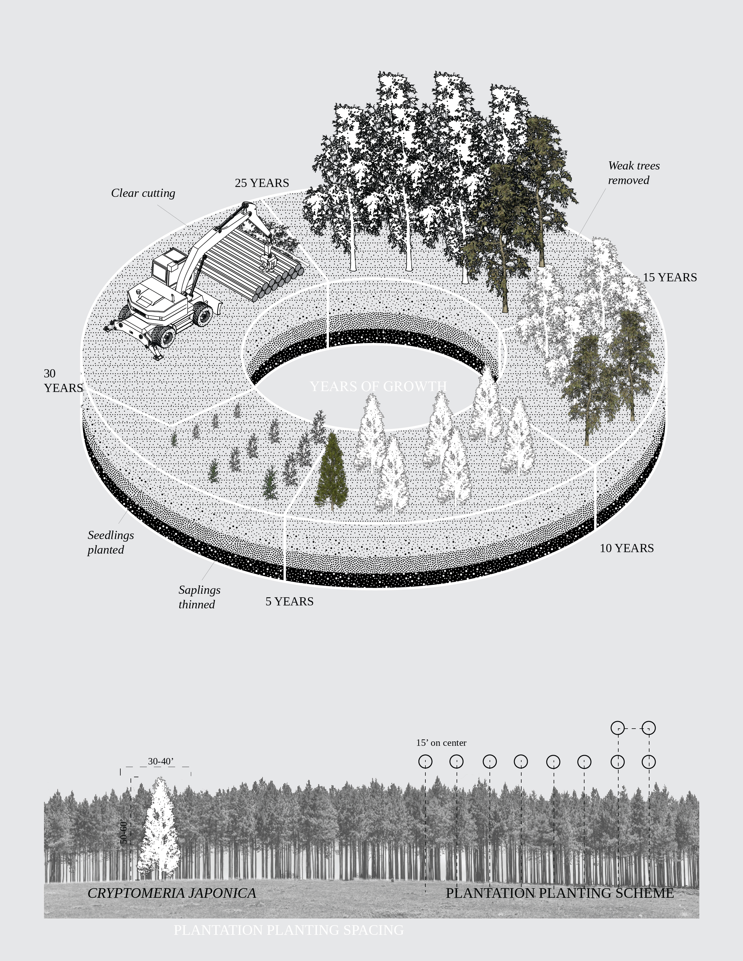 FINAL DRAWING OF LIFE CYCLE-01-01.jpg