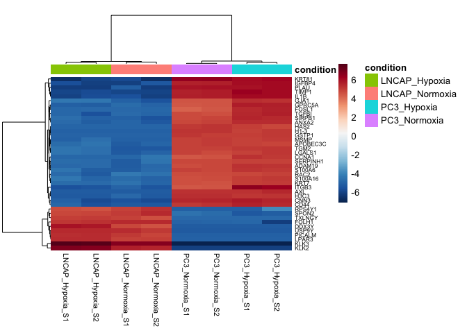 variable-gene-heatmap-all-samples-1.png