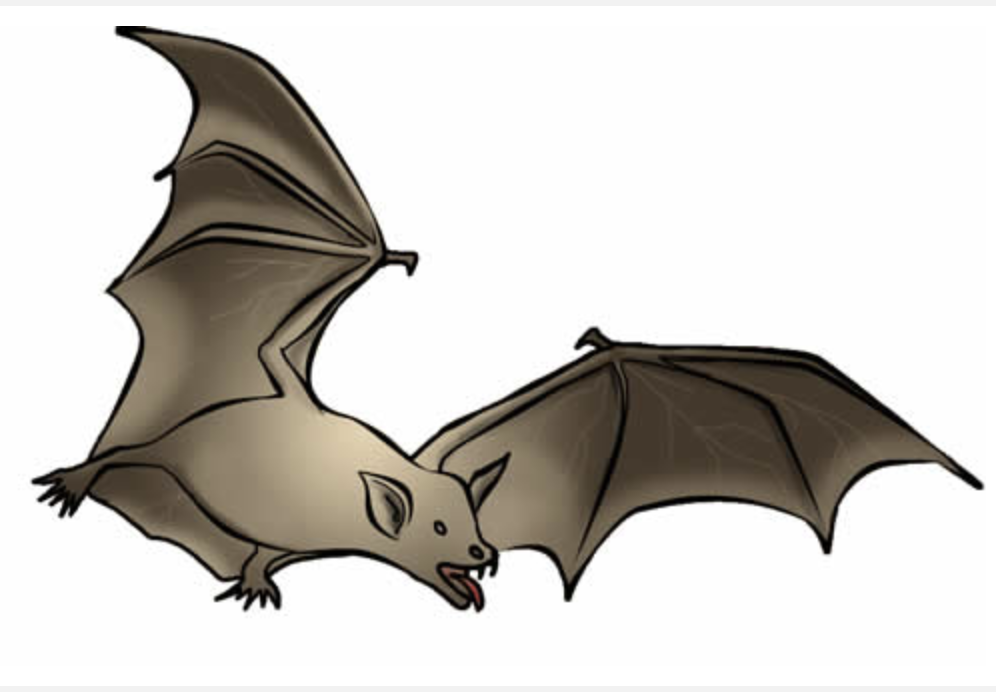 bat.png