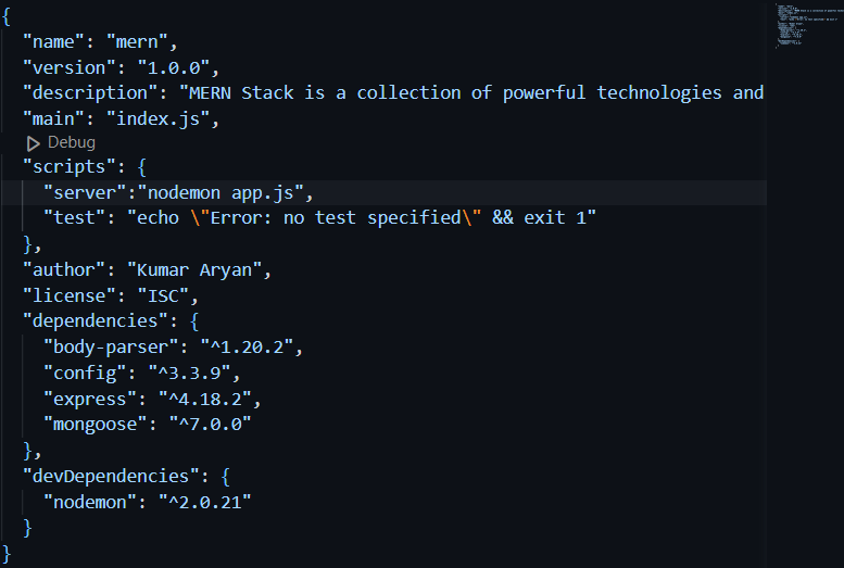 package_json.png