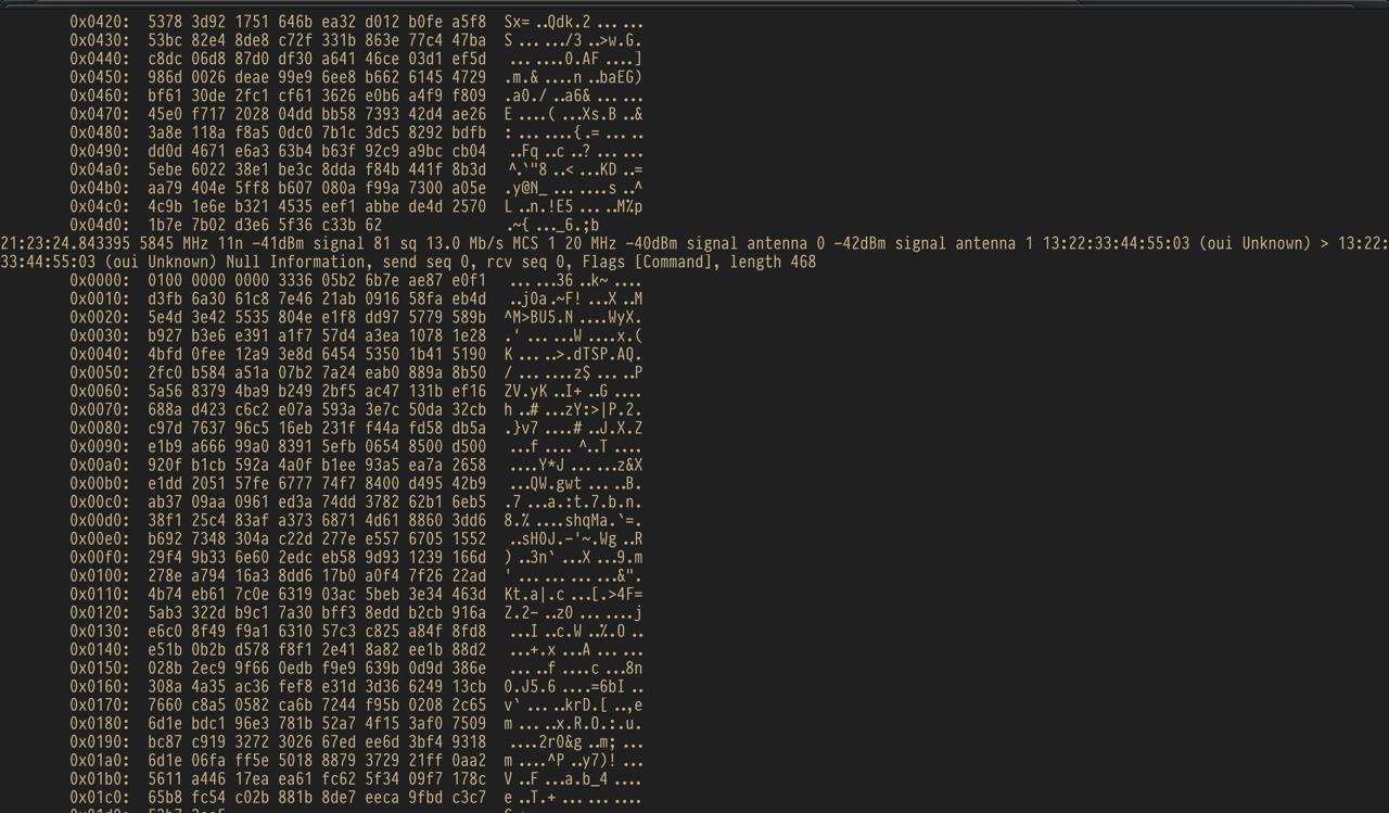 fpv-tcpdump.jpg