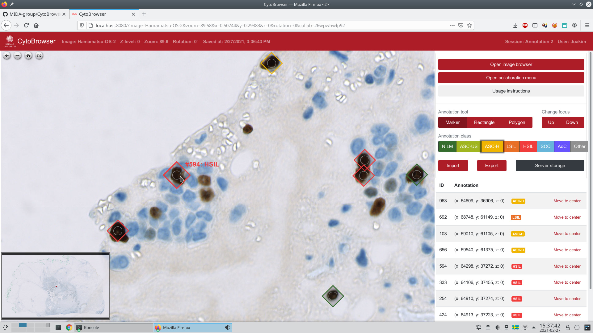 CytoBrowser_example_view.jpg