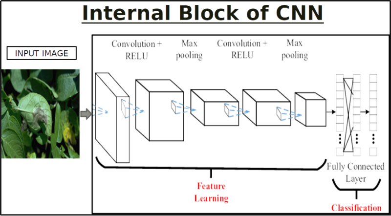 InternalBlockOfCNN.png