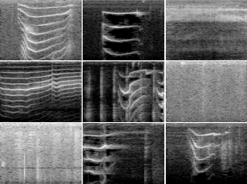 kittens_random_spectrogram.png