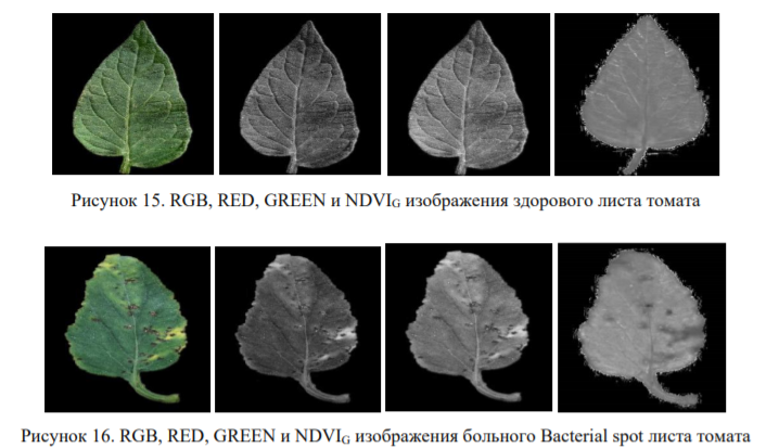 NDVI_G.png