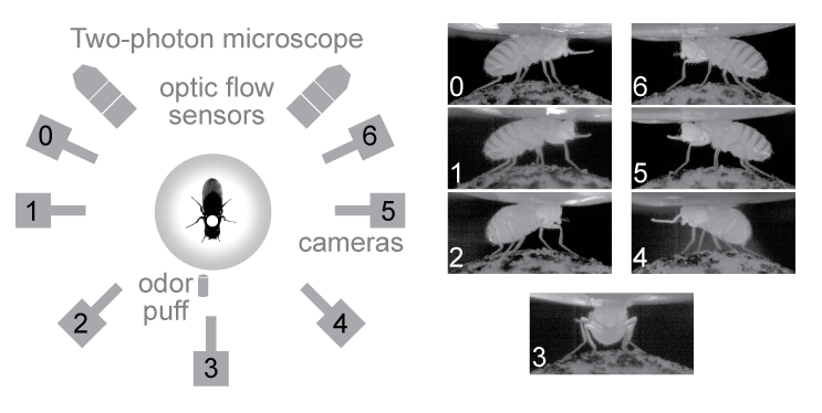 camera_order.png