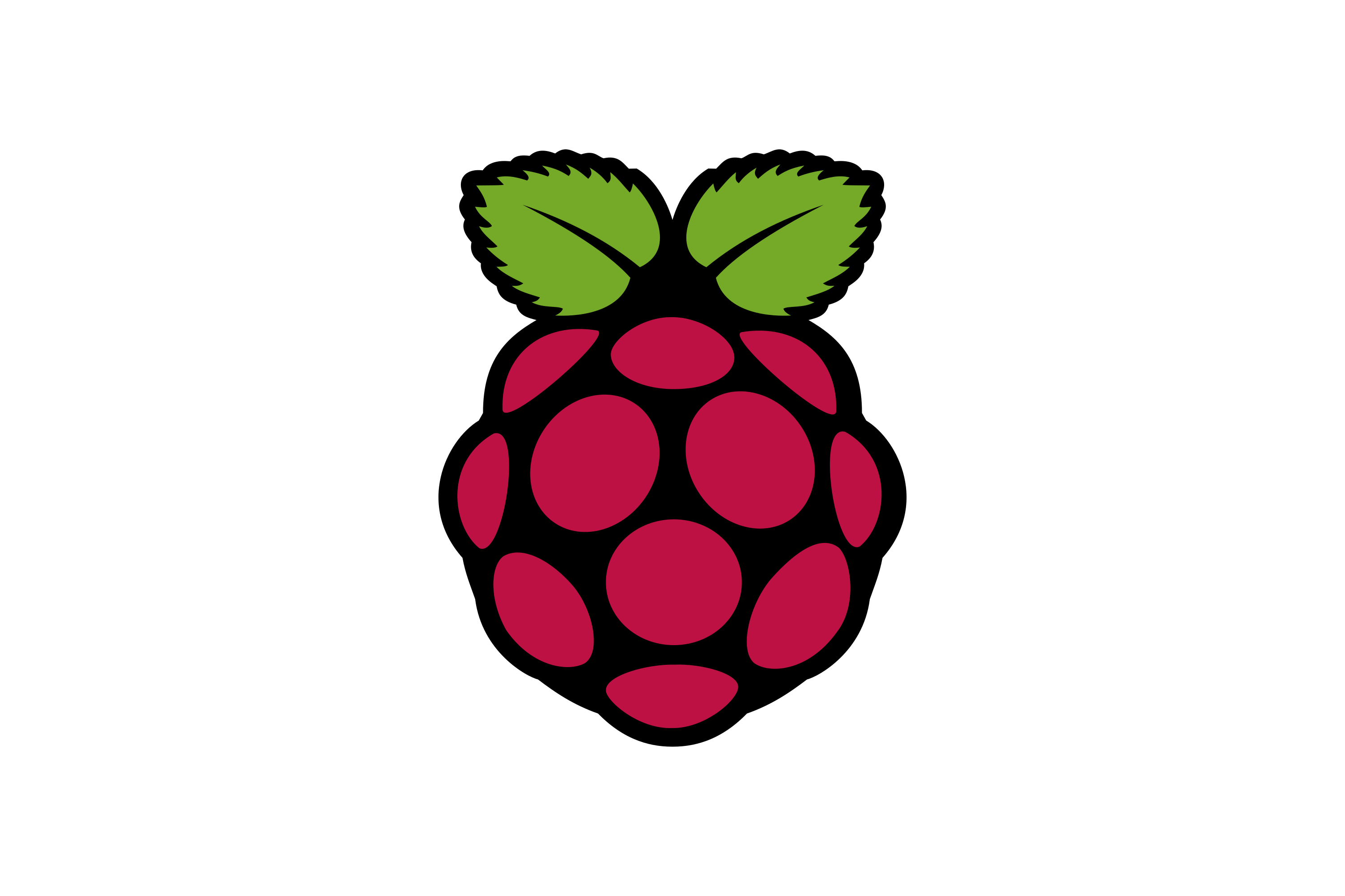 Raspberry_Pi-Logo.png