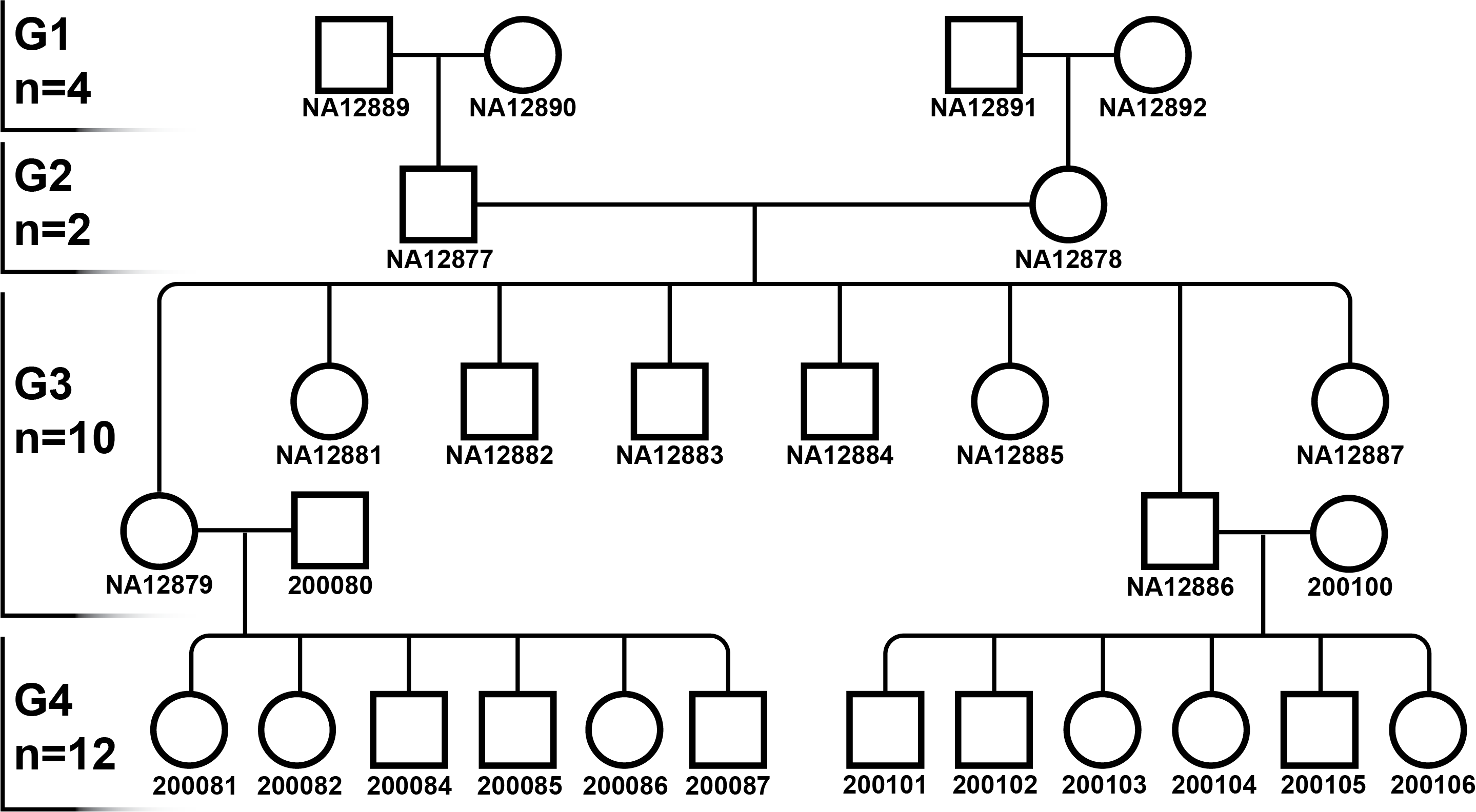 CEPH_pedigree_github.png