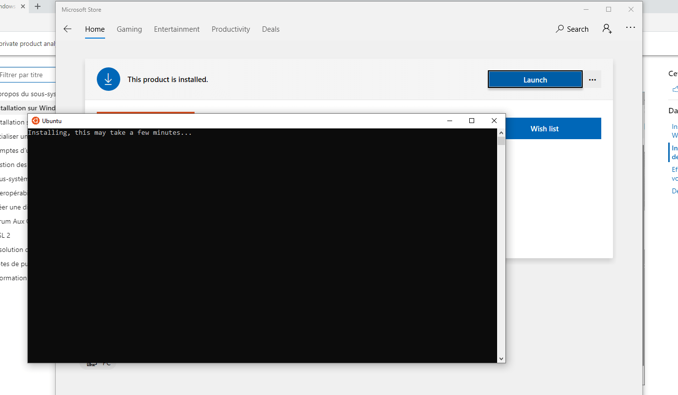 images/wsl/install-3.png