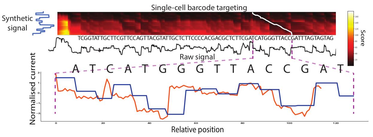 MotifSeq_fig.jpg