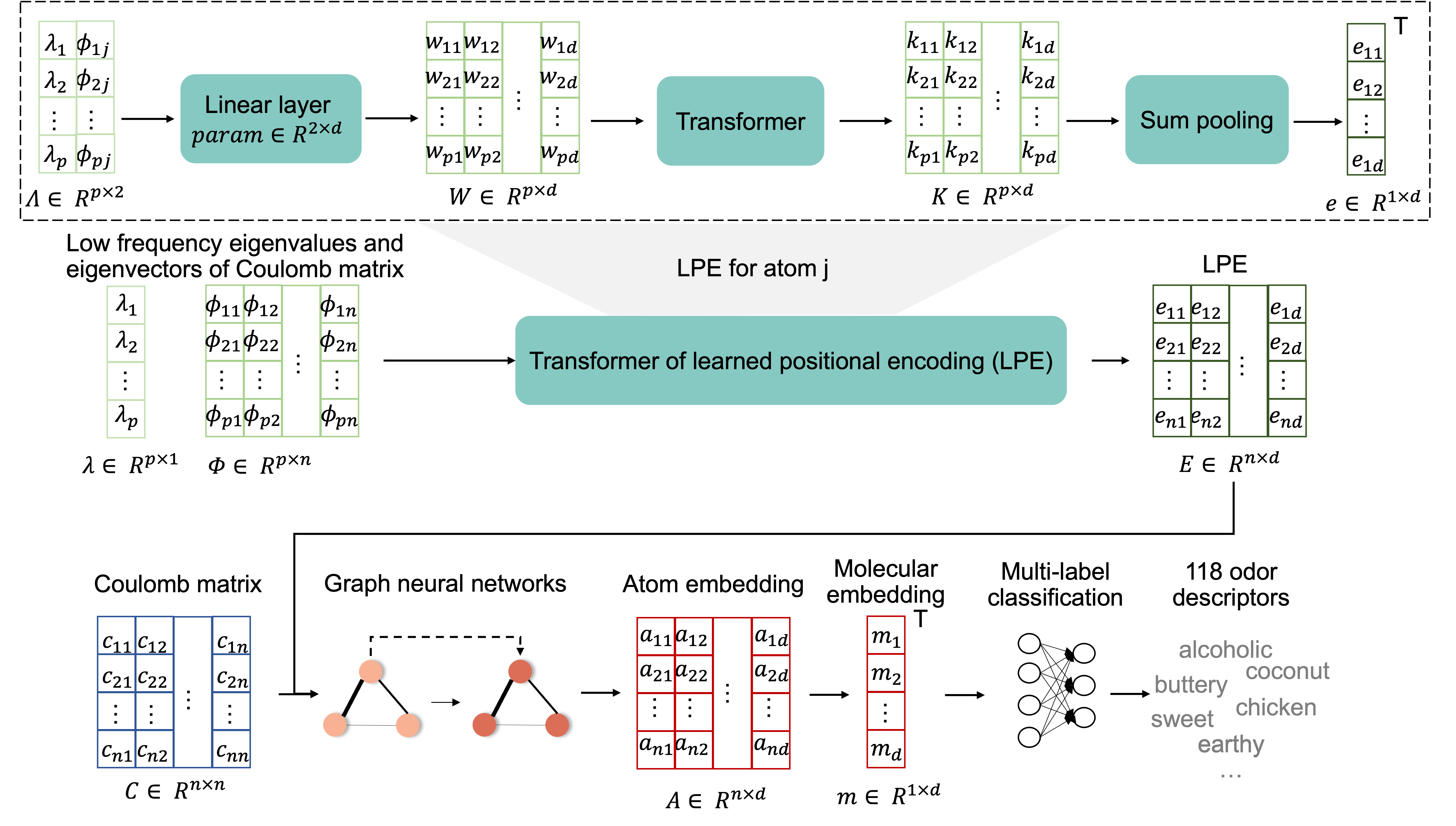 Mol-PECO.png