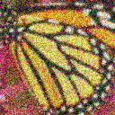 butterfly_GT_x2_.png