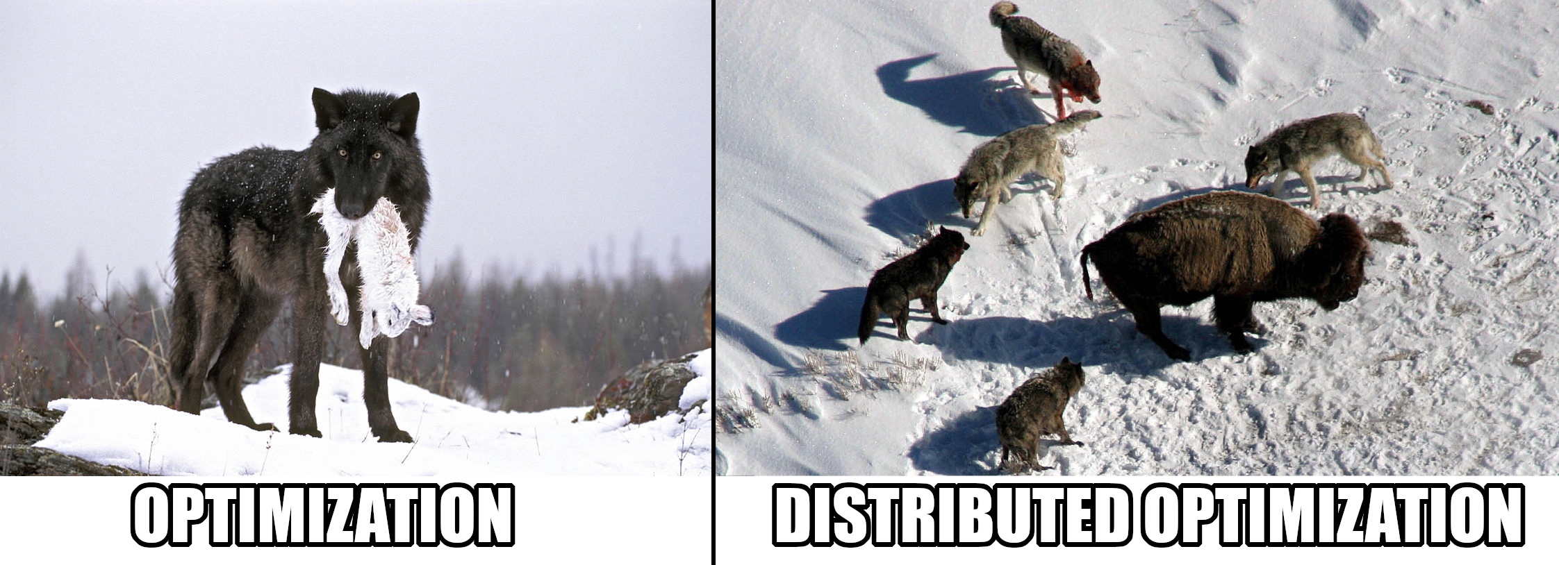 distributed.jpg