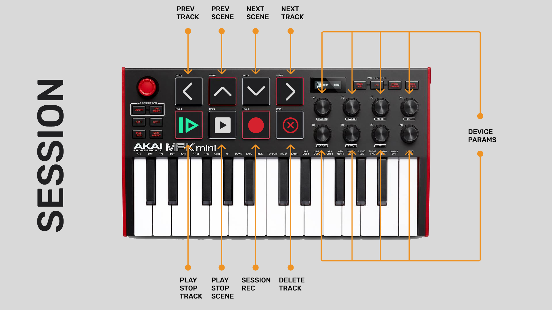 SESSION SETUP.png