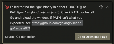 vscode-error-no-goroot.png