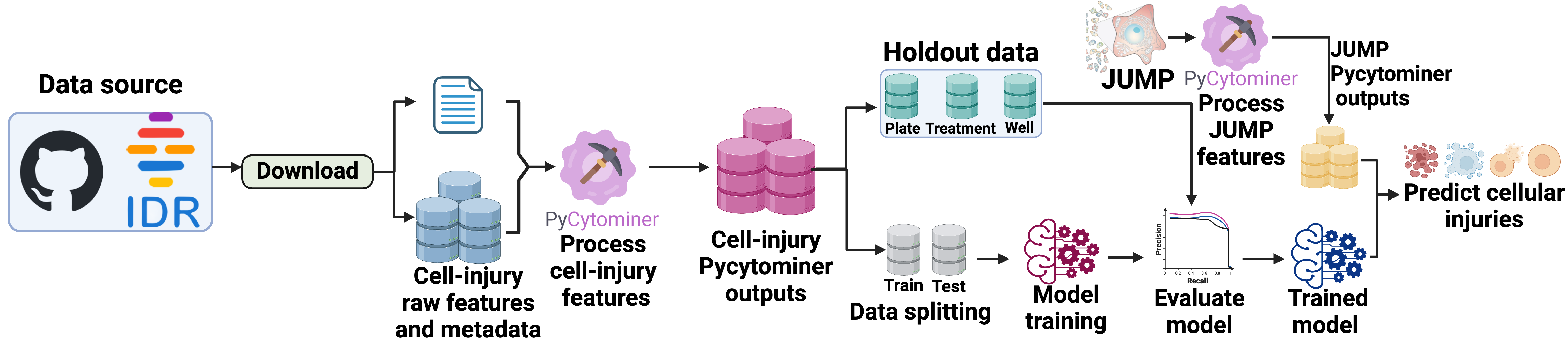 workflow_fig.png