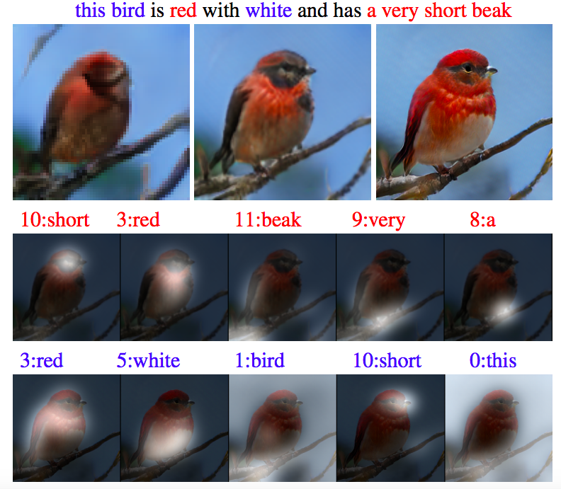 example_bird.png