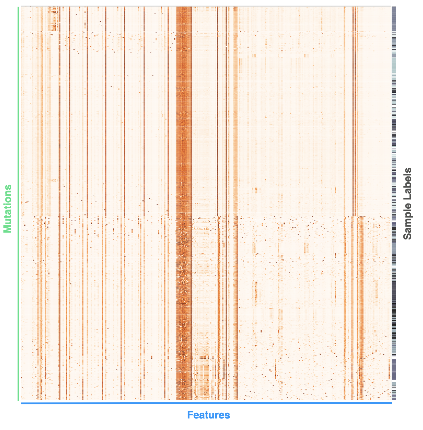 mutational_profiles.png