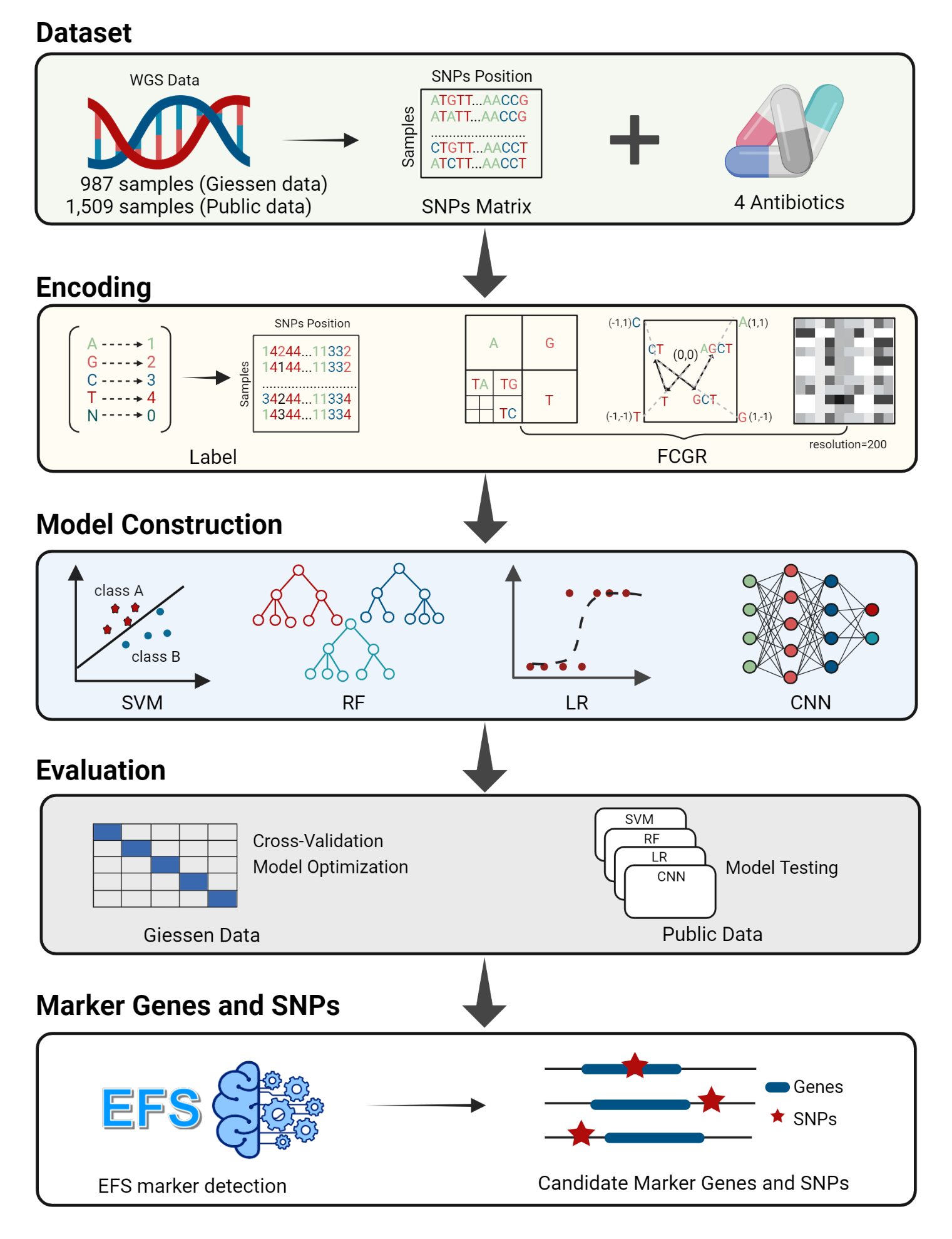 Fig1-Workflow.png