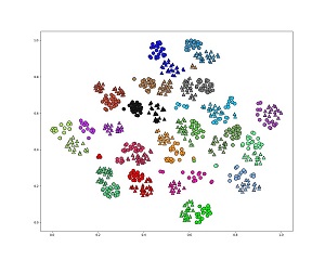 tsne_0.jpg