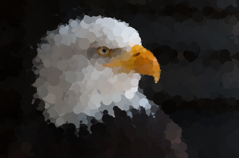 eagle5.png