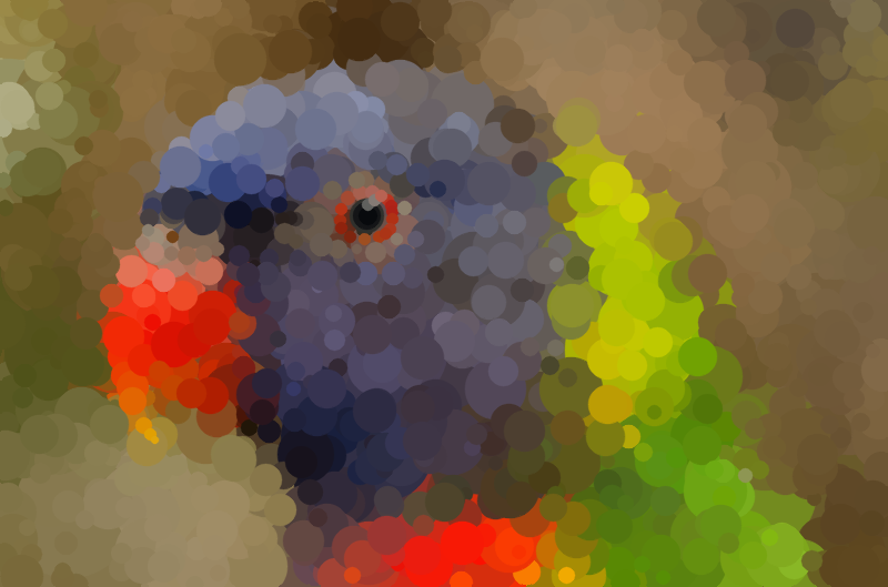 parrot4.png